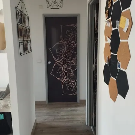 3 Pieces Apartment
